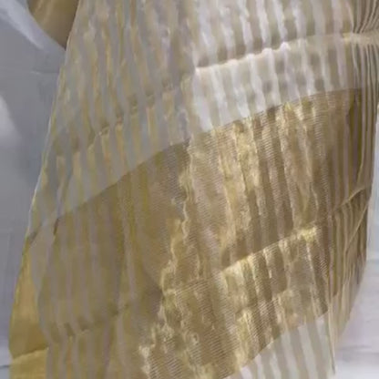 Celebrity Exclusive -White Chanderi Pattu Silk